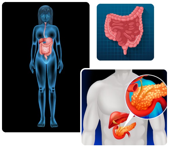 Causes of Gastroenterology Problems